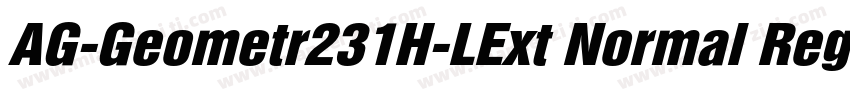 AG-Geometr231H-LExt Normal Regular字体转换